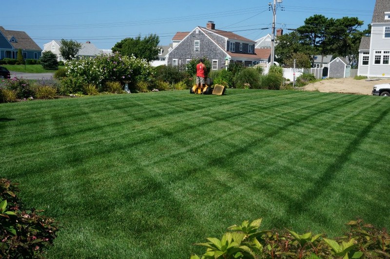 lawn maintenance cape cod