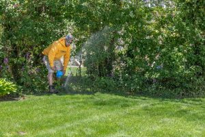 irrigation mantenance